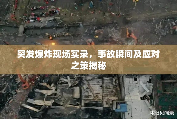 产品中心 第12页