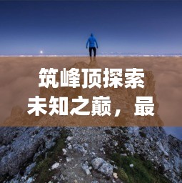 联系我们 第8页