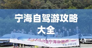 在线留言 第8页