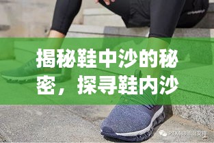 2025年4月 第2页