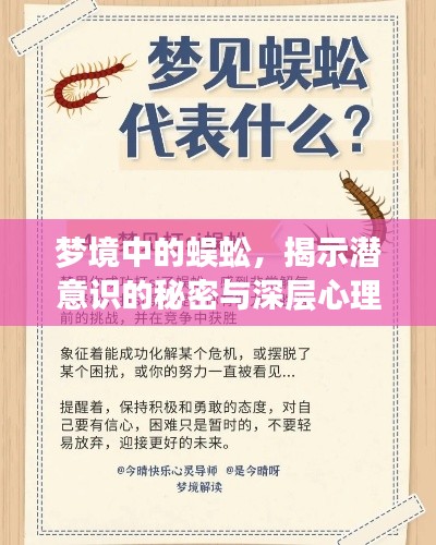 2025年5月1日 第3页