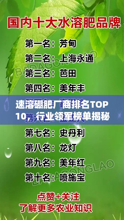在线留言 第6页