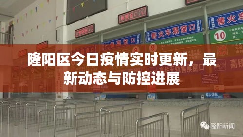 隆阳区今日疫情实时更新，最新动态与防控进展