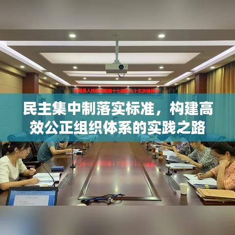 民主集中制落实标准，构建高效公正组织体系的实践之路
