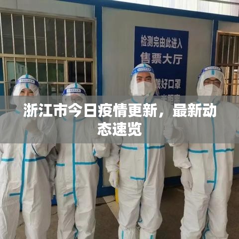浙江市今日疫情更新，最新动态速览
