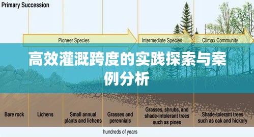 高效灌溉跨度的实践探索与案例分析