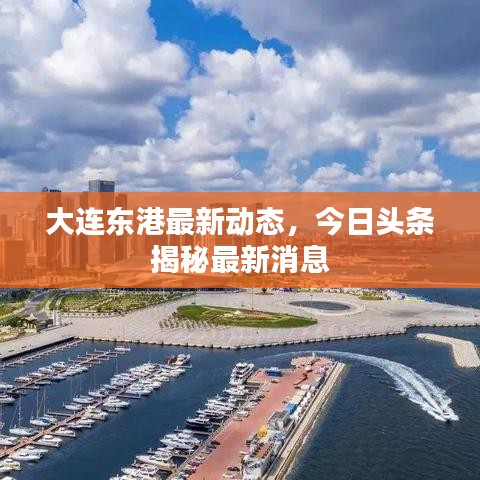 2025年6月 第101页