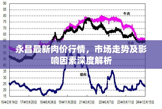 眼空四海