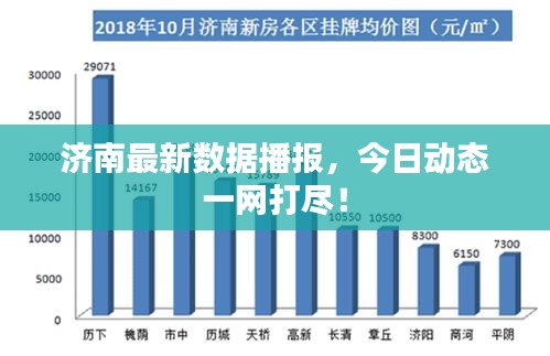济南最新数据播报，今日动态一网打尽！