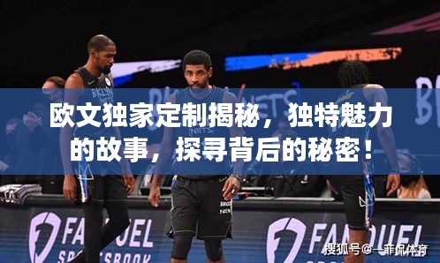 欧文独家定制揭秘，独特魅力的故事，探寻背后的秘密！