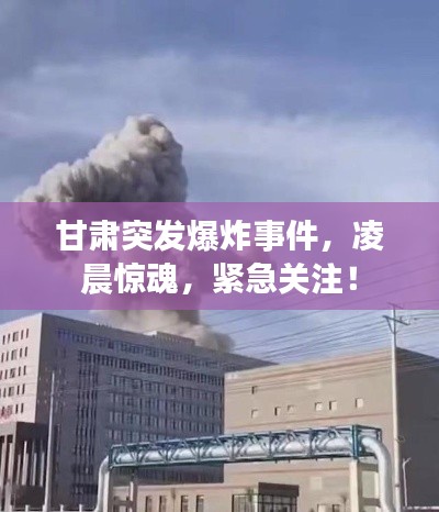 2025年6月7日 第3页