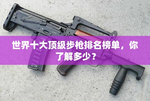 世界十大顶级步枪排名榜单，你了解多少？