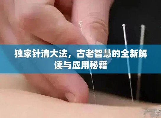 独家针清大法，古老智慧的全新解读与应用秘籍